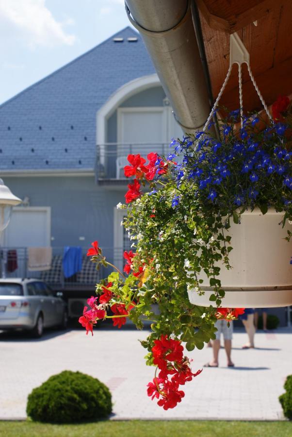 Kek Vendeghaz Family Resort เจเนชดิแอช ภายนอก รูปภาพ